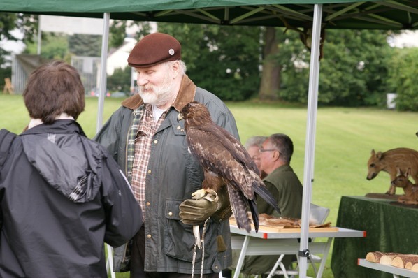 Greifvogelauffangstation Hagard präsentiert unter anderem einen Adler